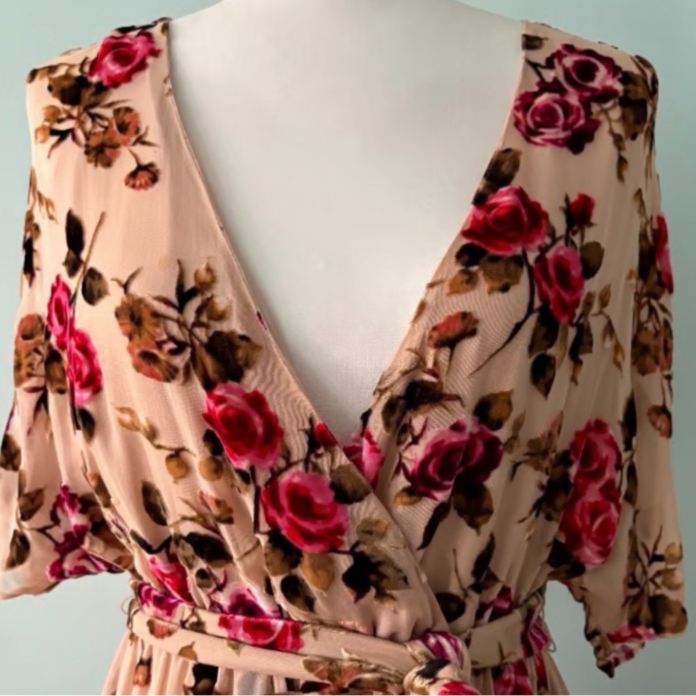 Alice + Olivia Clarine Velvet Burnout | EUC | Sz 6 - Picture 2 of 7